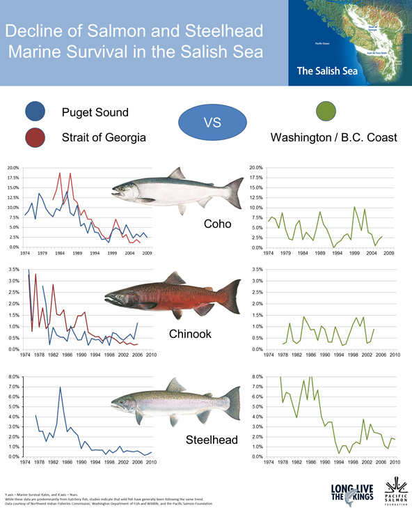 Salmon – North Cascade Glacier Climate Project